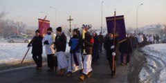 ks_zieba-dsc_6666-13
