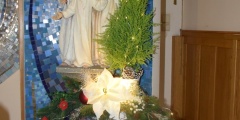 DSC_0257